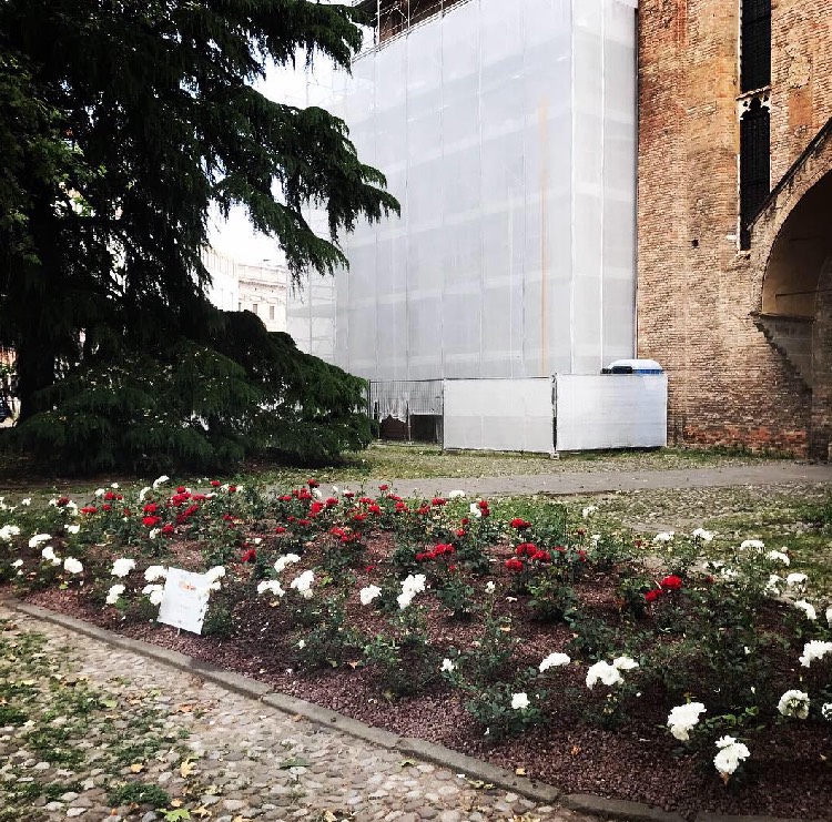 Realizzazioni Green Park e superfici drenanti | Vivailazzaro.it