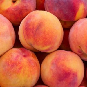 Pesco Glohaven produce frutti di grosse dimensioni | Vivailazzaro.it