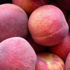 Pesco Springlady albero da frutta con portamento assurgente | Vivailazzaro.it