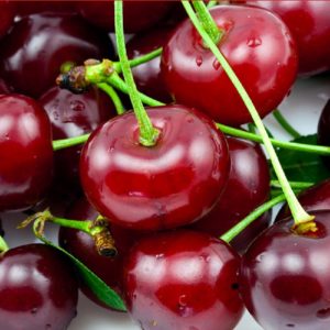Ciliegio Grossa di Pistoia produce frutti molto croccanti di succosità medio-elevata | Vivailazzaro.it