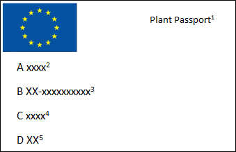 Esempio di passaporto verde | Vivailazzaro.it